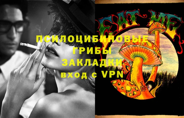 2c-b Богородицк