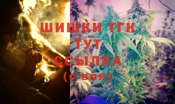 прущий лед Богданович