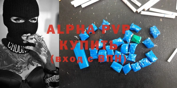 прущий лед Богданович