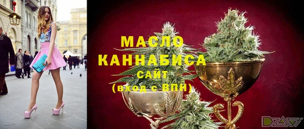 прущий лед Богданович