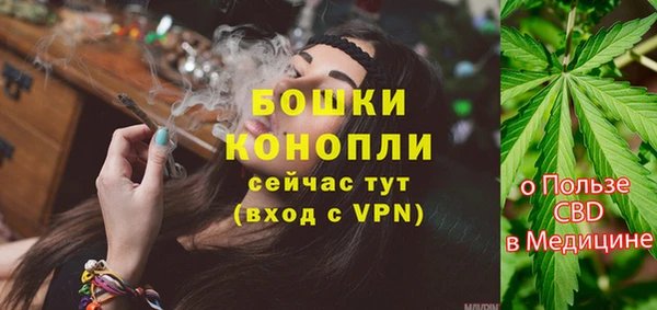 хмурый Богородск