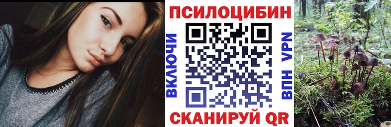 купить наркотик Великий Устюг Галлюциногенные грибы GOLDEN TEACHER
