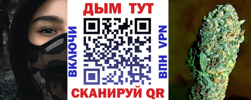 Бошки марихуана SATIVA & INDICA как найти Великий Устюг